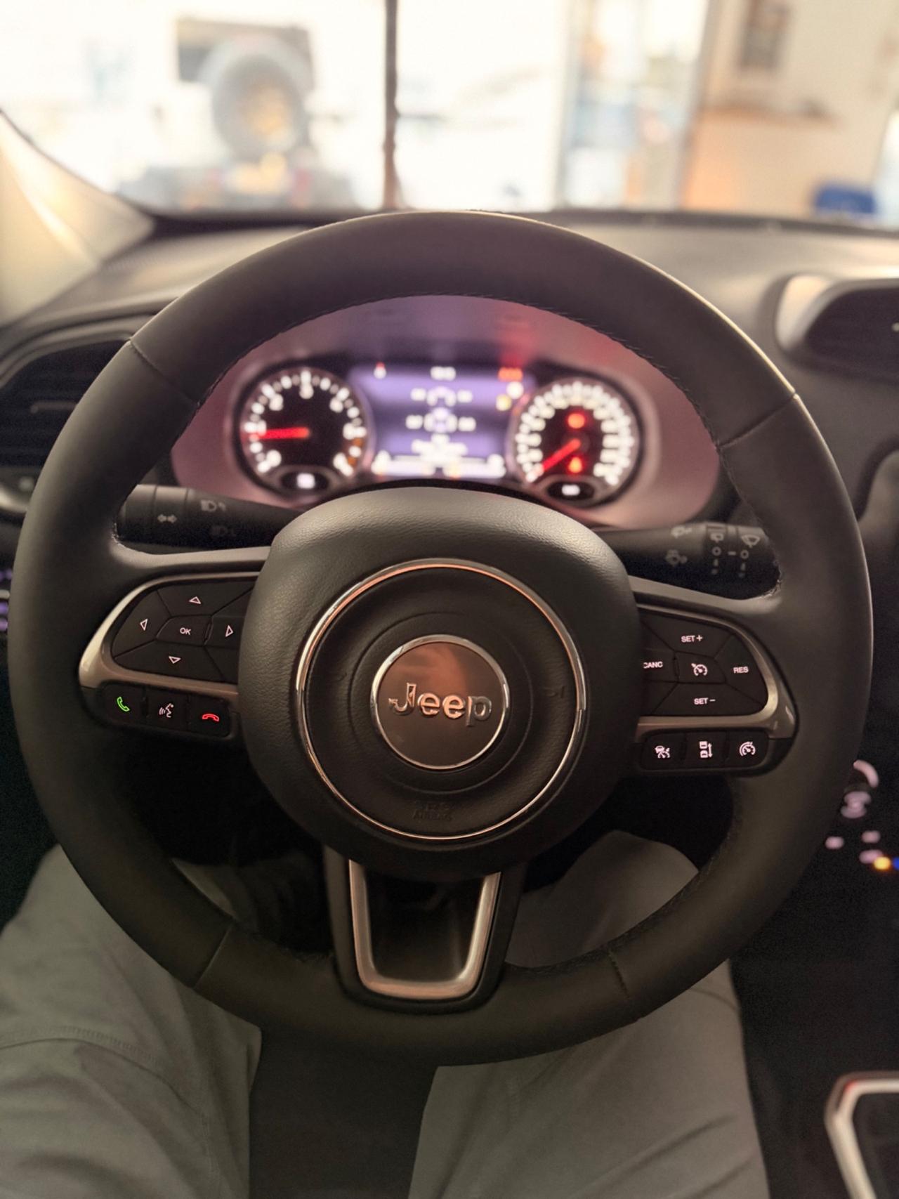Jeep Renegade 1.6 Mjt 120 CV Longitude