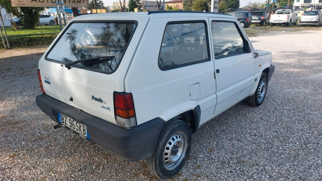 Fiat Panda 1100 i.e. cat Young