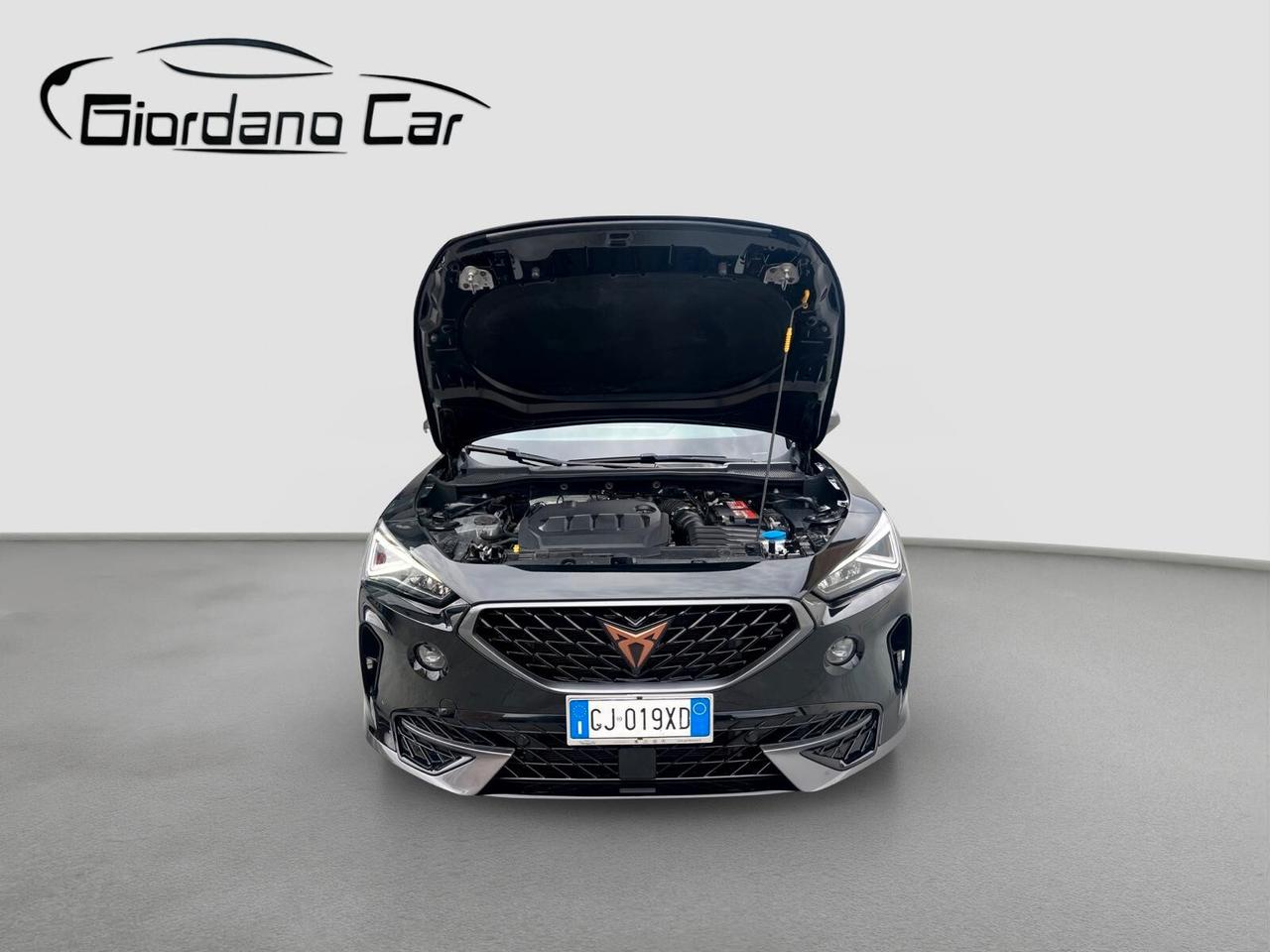 Cupra Formentor 2.0 TDI 4Drive DSG