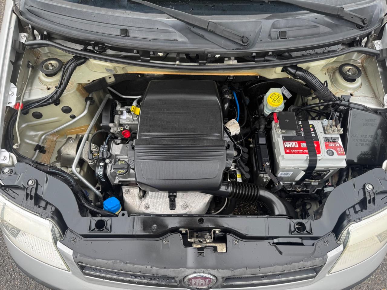 Fiat Panda idonea ai neopatentati 5 posti