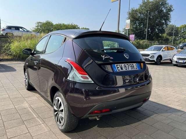 Lancia Ypsilon Ypsilon 1.2 69 CV 5 porte Elefantino