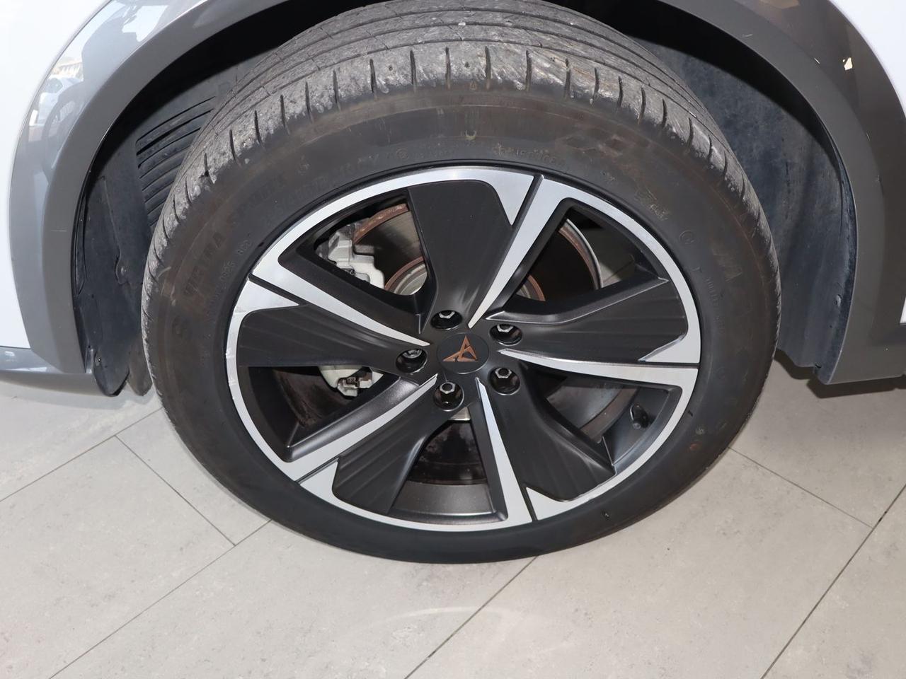 Cupra Formentor Tribe Edition 2.0 TDI #11987
