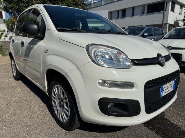 FIAT Panda 1.2 Easy (AUTOCARRO N1 4 POSTI)