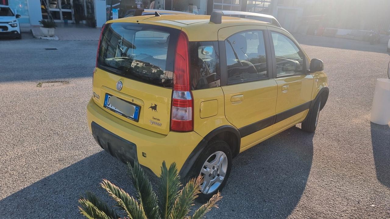Fiat Panda 1.2 Climbing Natural Power
