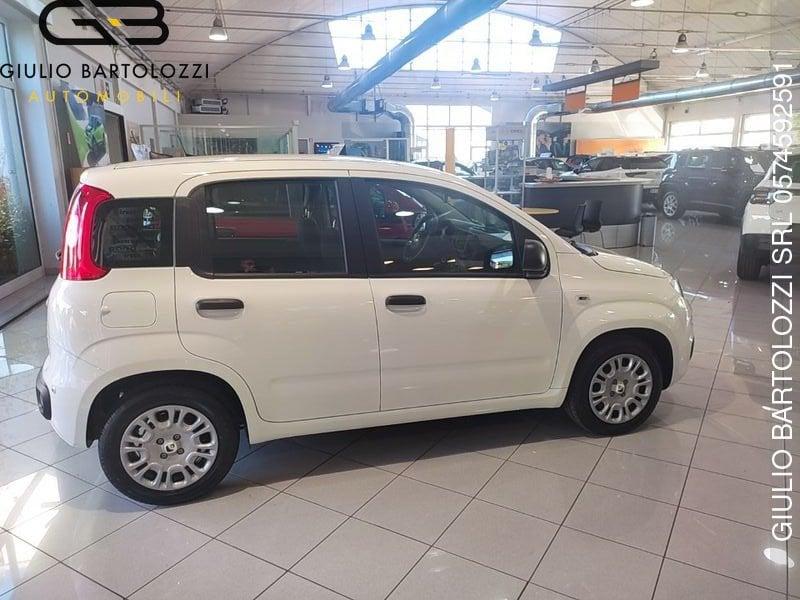 FIAT Panda Pandina 1.0 FireFly S&S Hybrid Icon