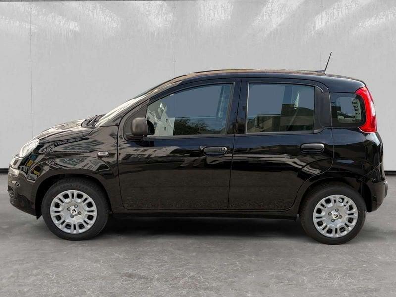 FIAT Pandina 1.0 firefly hybrid Icon s&s 70cv