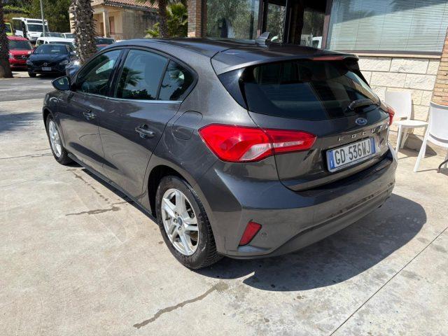 FORD Focus 1.5 EcoBlue 120 CV 5p. Business