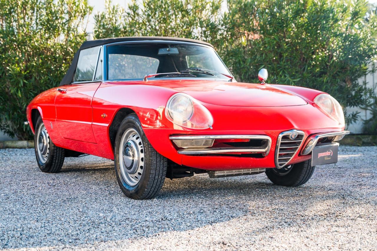 Alfa Romeo Spider 1600 Duetto ”Osso di Seppia”