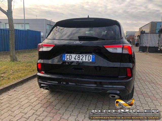 FORD Kuga 1.5 EcoBlue 120 CV Cambio aut. ST-Line