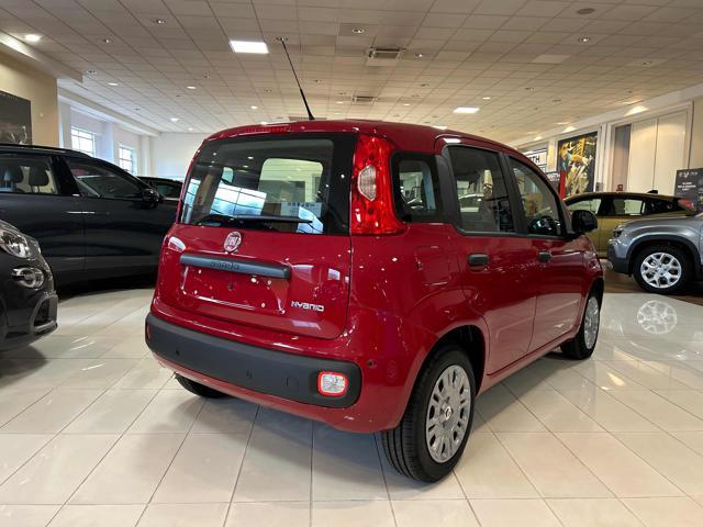 FIAT Panda 1.0 FireFly S&S Hybrid Pandina