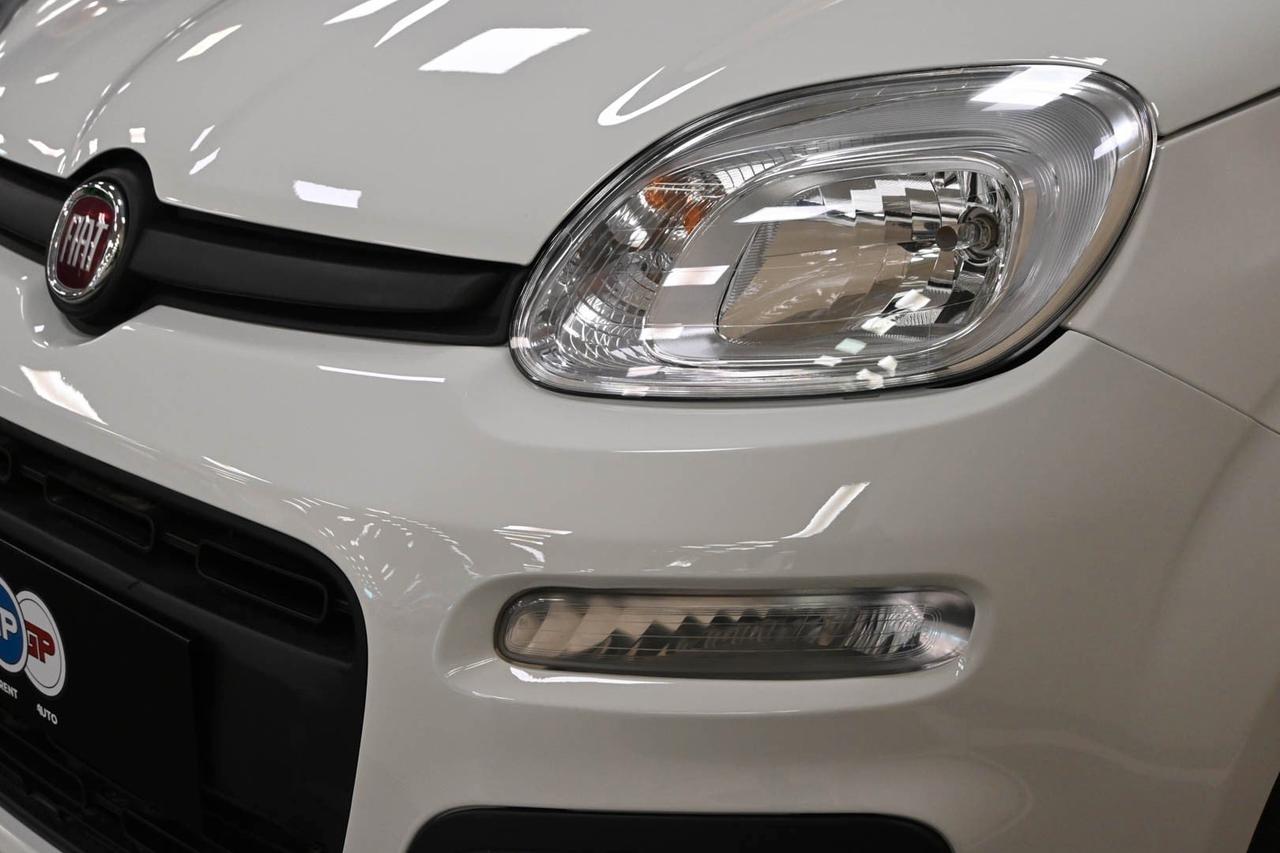 FIAT Panda 3ª serie Panda 1.0 FireFly S&S Hybrid