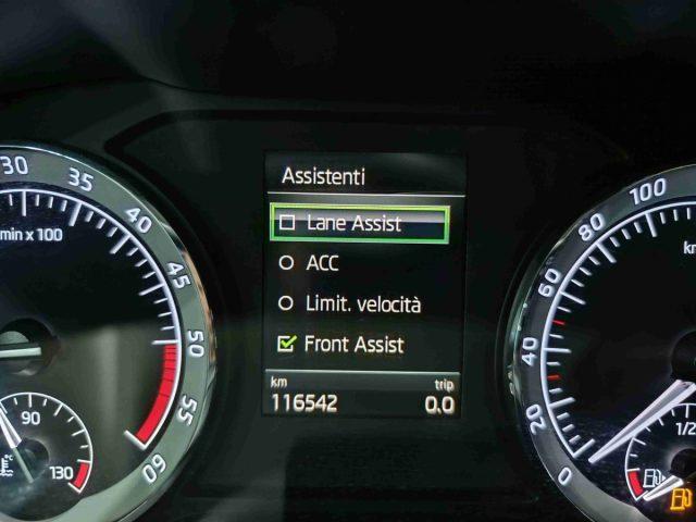 SKODA Karoq 2.0 TDI EVO SCR 115 CV DSG Executive