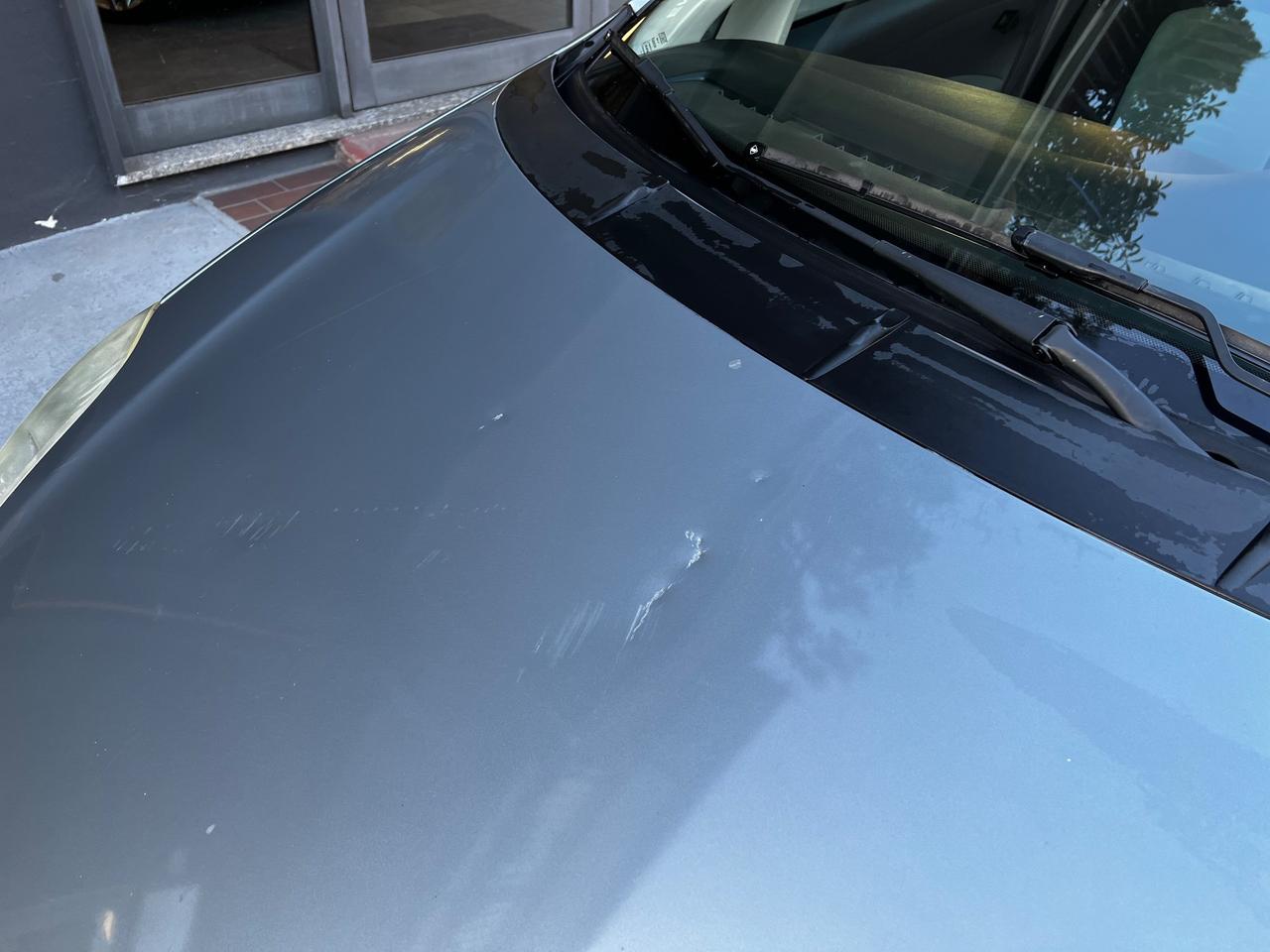 Fiat Grande Punto 1.4 5 porte Active Natural Power