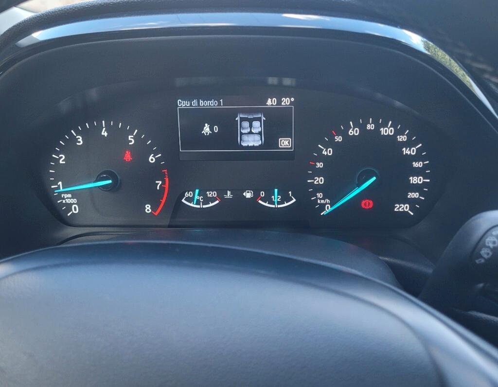 Ford Fiesta 1.0 Ecoboost Hybrid 125 CV 5 porte Titanium