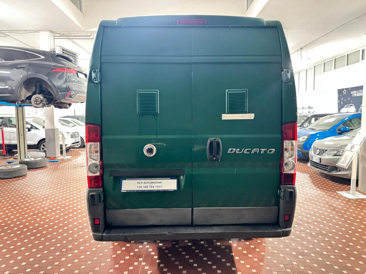 Fiat Ducato 30 2.3 MJT PC-TN Furgone- MOTORE SOSTITUITO