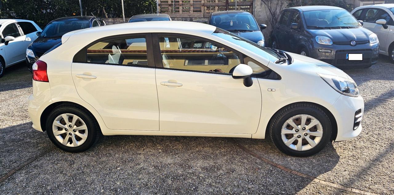 Kia Rio 1.2 CONDIZIONI OK 12/2015 GARANZIA 12 MESI