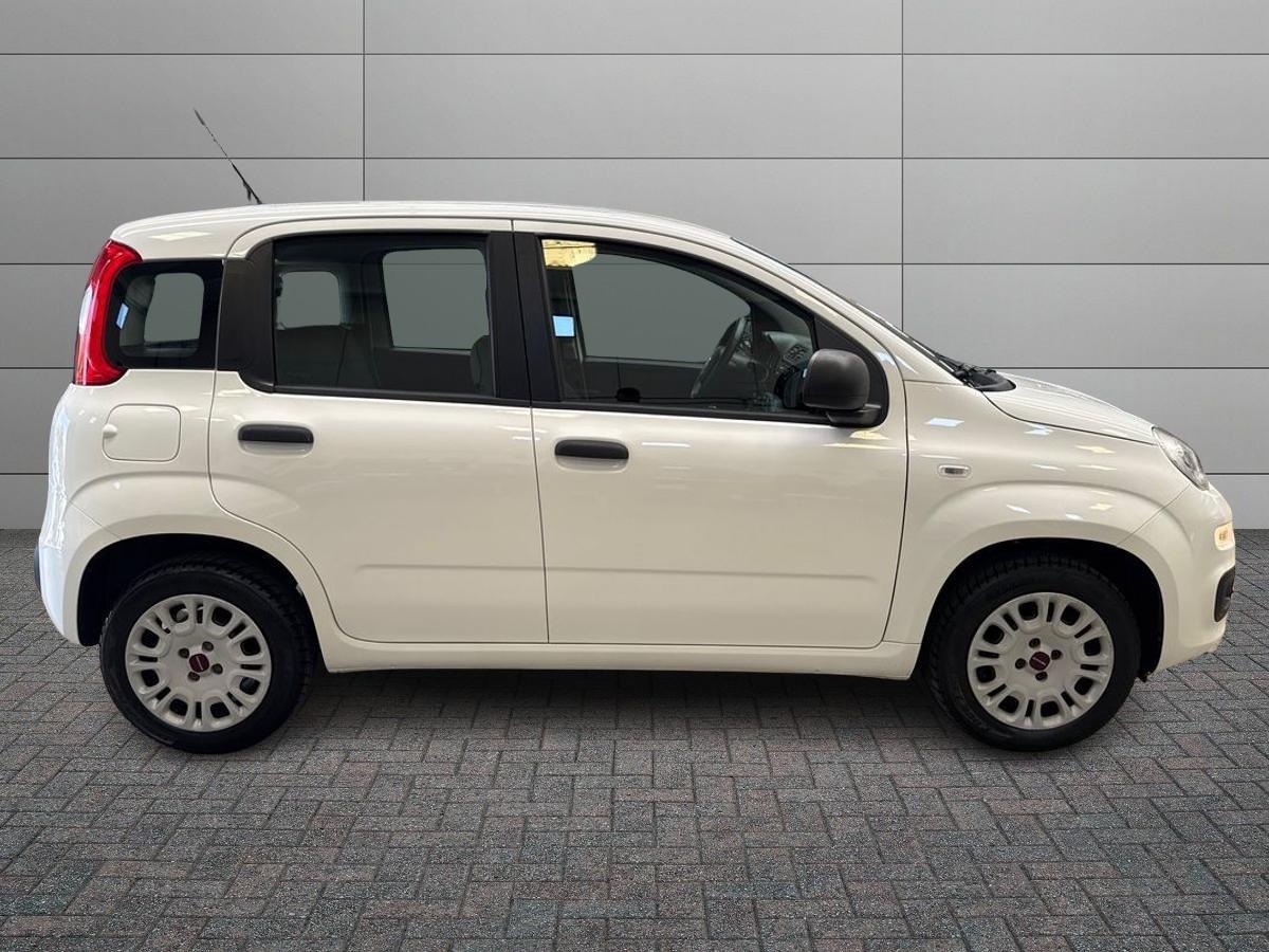 FIAT Panda III 2016 - Panda 1.2 Pop s&s 69cv my19
