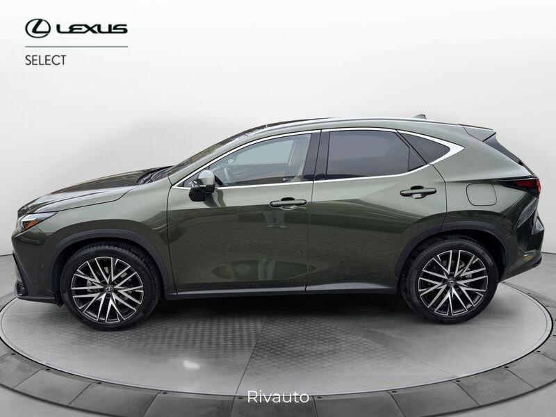 Lexus NX Hybrid Luxury 4WD MY22