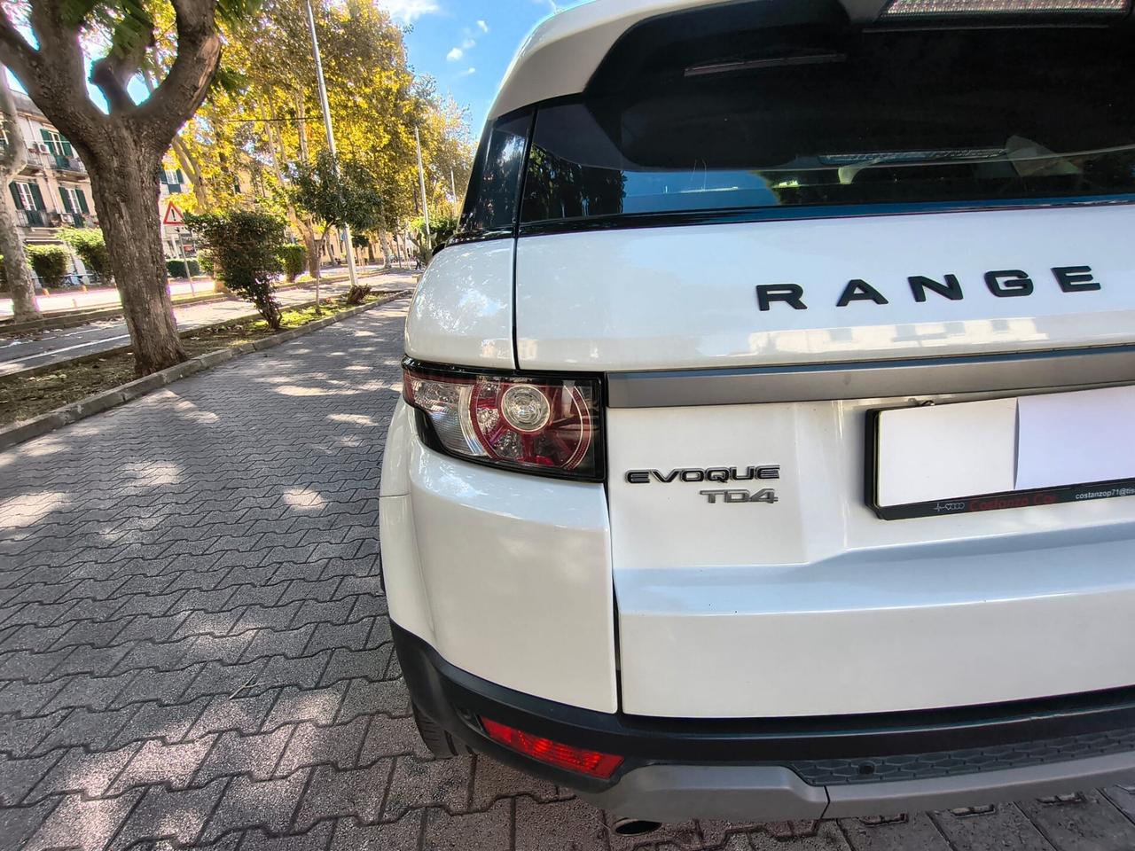 Land Rover Range Evoque 2.2 TD4 5p. Pure