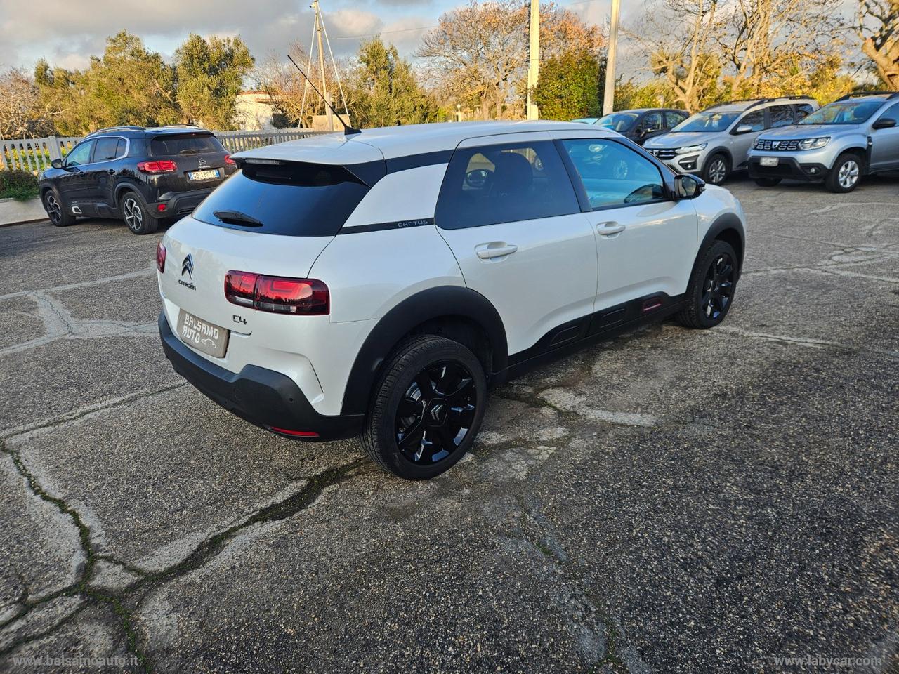 CITROEN C4 Cactus BlueHDi 100 S&S Shine N1