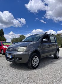 Fiat Panda 1.3 Multijet 4x4 Climbing PERFETTA