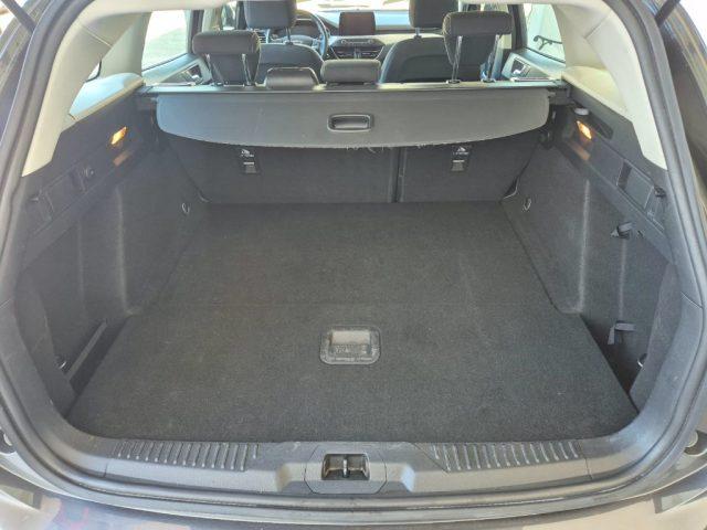 FORD Focus 1.5 EcoBlue 120 CV SW Business