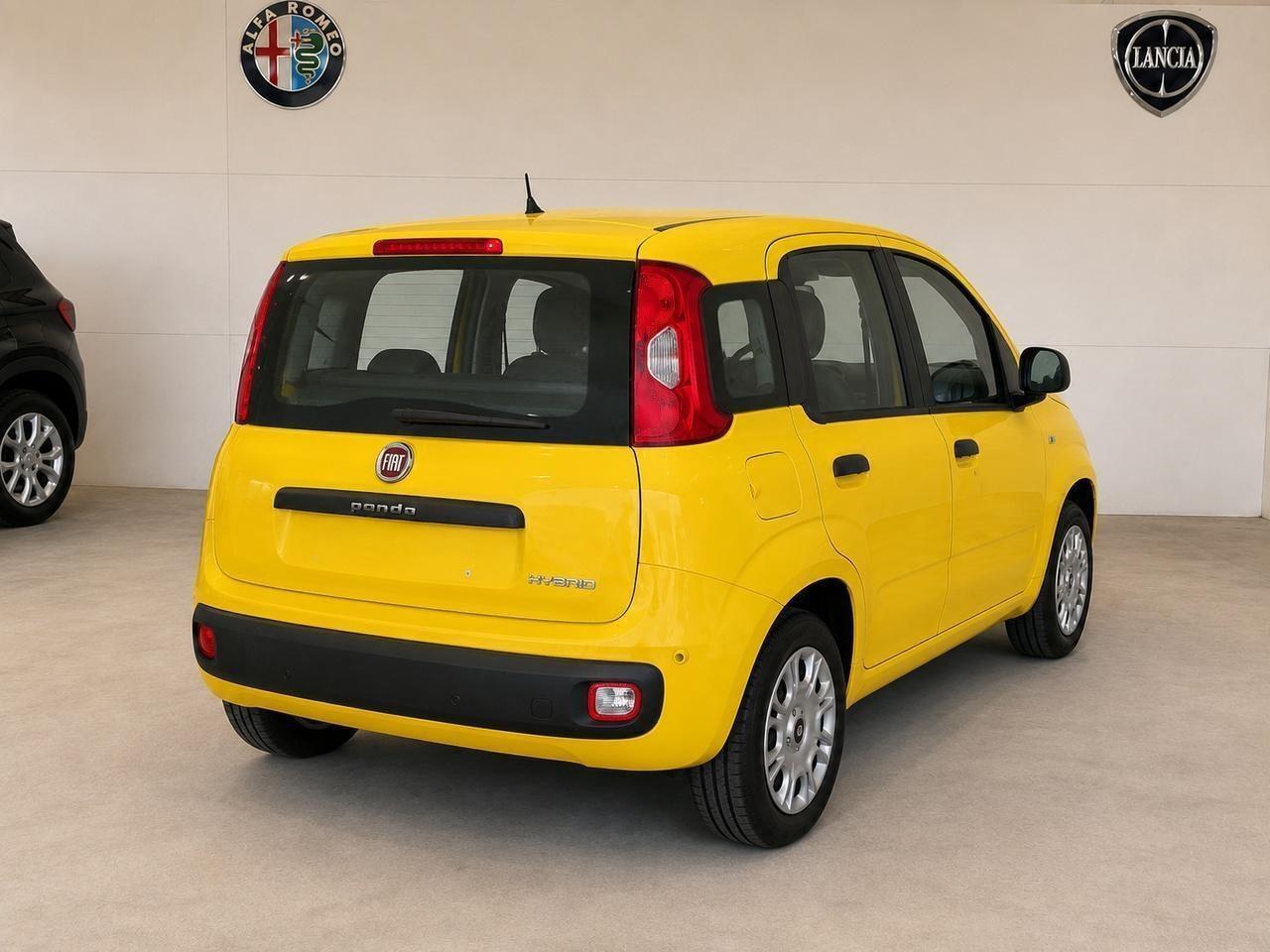 FIAT Pandina III 2024 - Pandina 1.0 firefly hybrid Icon s&s 65cv 5p.ti
