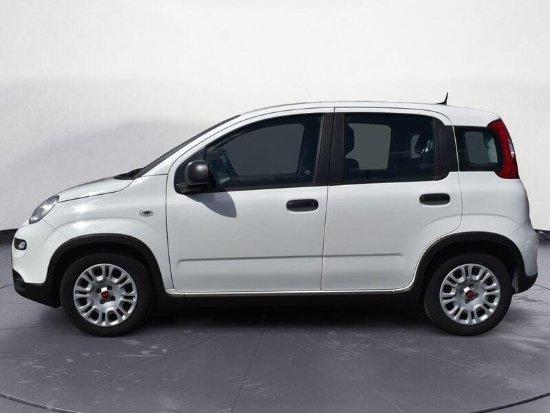 FIAT Panda Panda 1.0 FireFly S&S Hybrid
