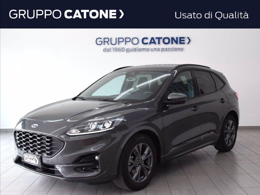 FORD Kuga 1.5 ecoblue ST-Line 2wd 120cv auto del 2023