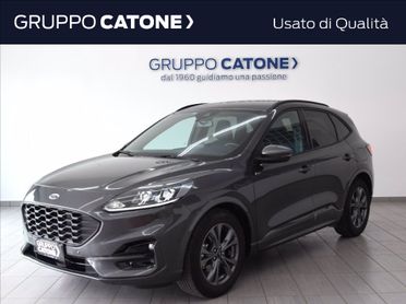 FORD Kuga 1.5 ecoblue ST-Line 2wd 120cv auto del 2023