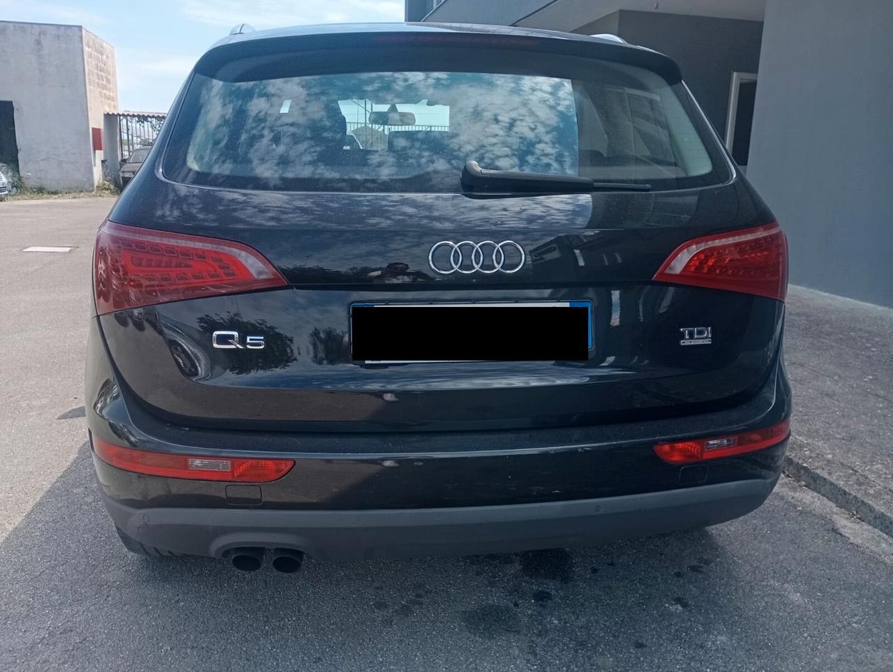 Audi Q5 2.0 TDI 170CV quattro Advanced Plus