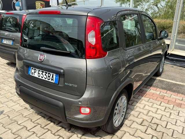 Fiat Panda Panda 1.0 firefly hybrid DISPONIBILI VARI COLORI