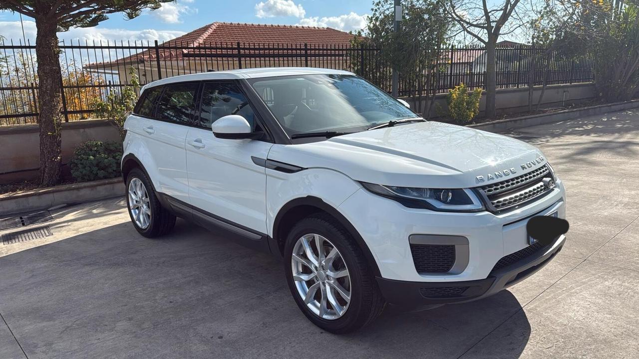 Land Rover Range Rover Evoque Range Rover Evoque 2.0 TD4 150 CV 5p. Pure