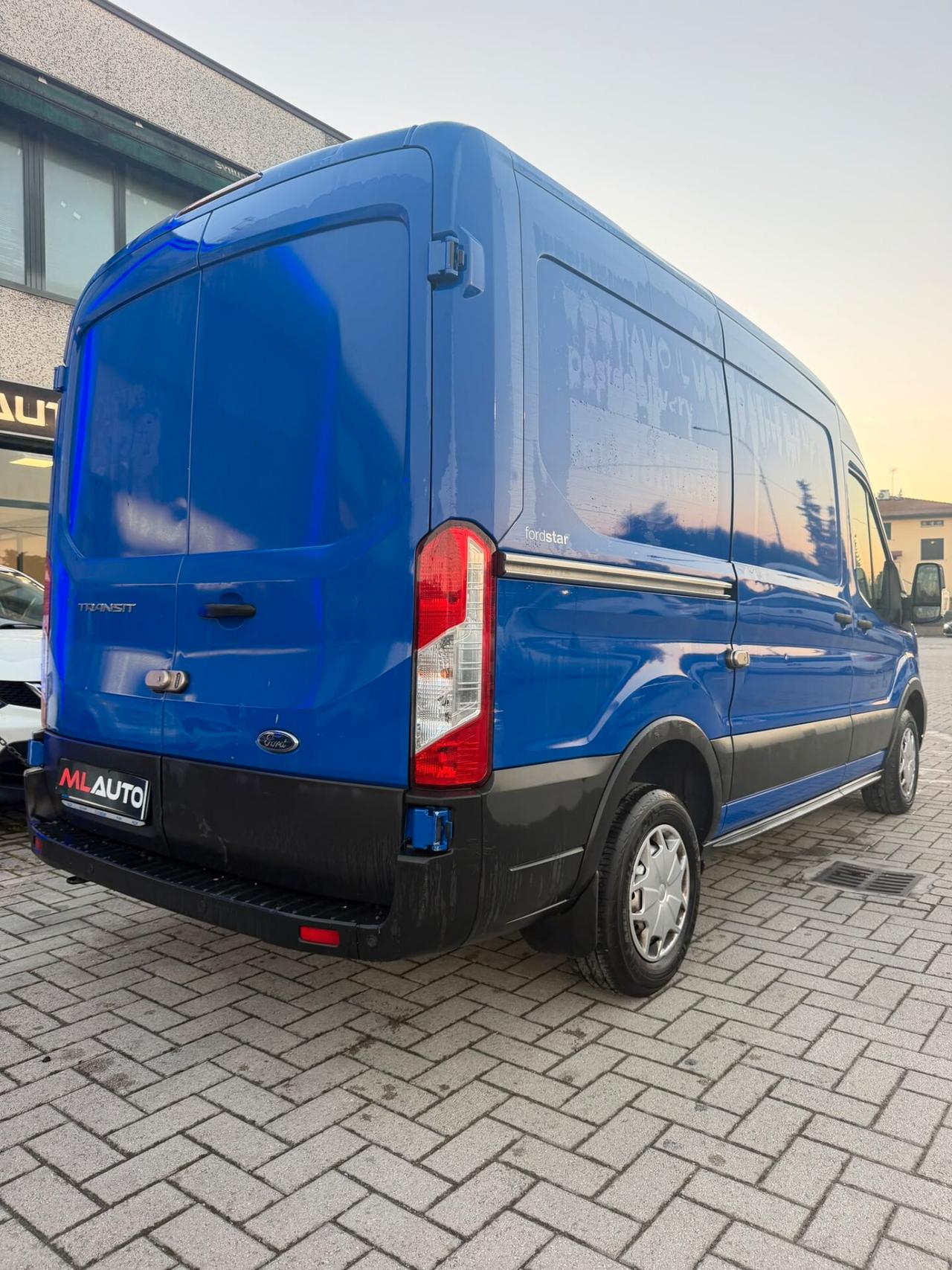 Ford Transit 290 2.0 TDCi EcoBlue PM-TM Furgone Trend