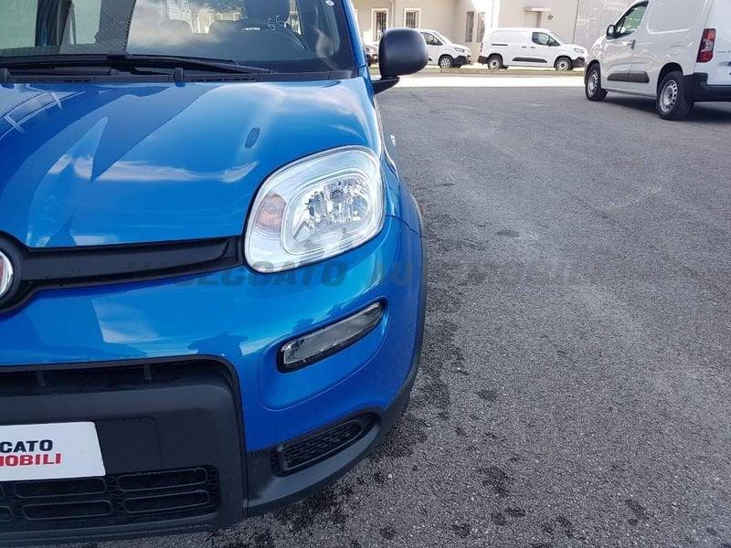 FIAT Panda 1.0 70cv Hybrid Panda