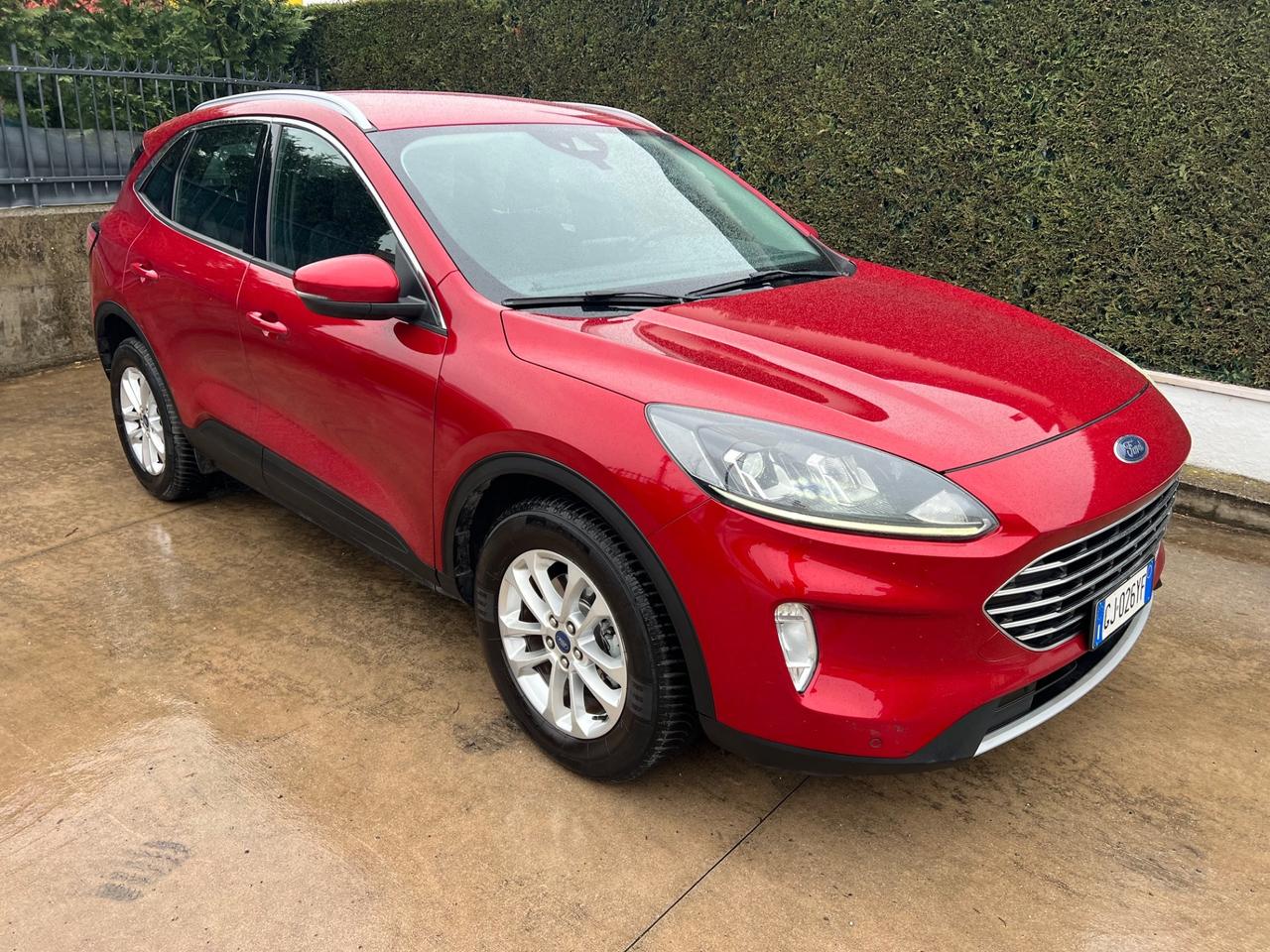 Ford Kuga 2.0 EcoBlue Hybrid 150 CV 2WD Titanium Business