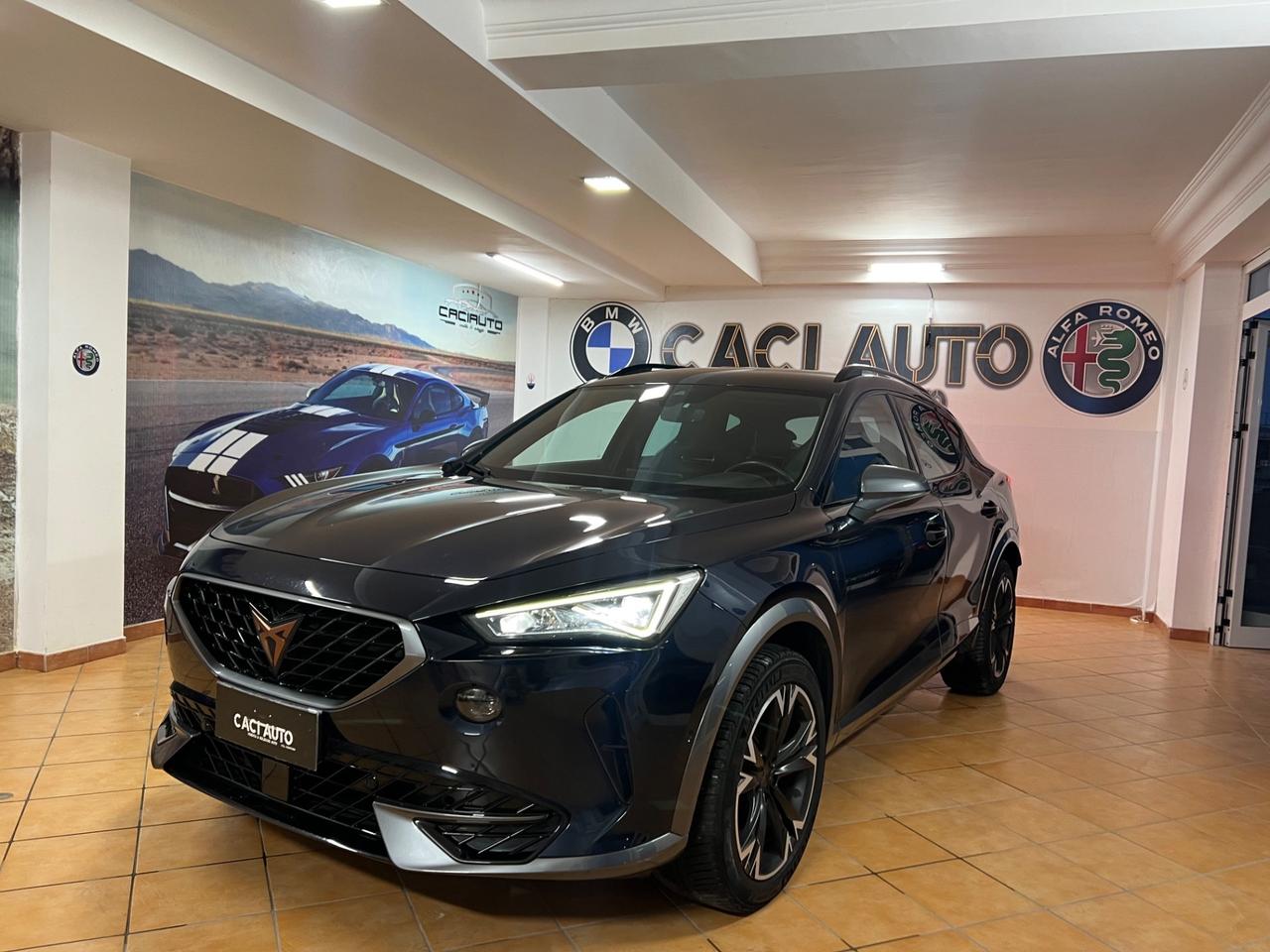 Cupra Formentor 2.0 TDI 4Drive DSG