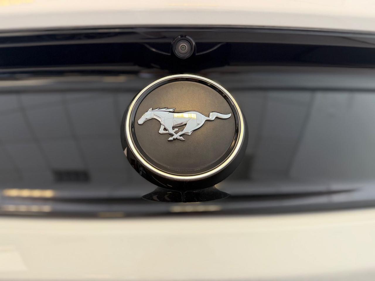 Ford Mustang Premium 2.3 EcoBoost #11589
