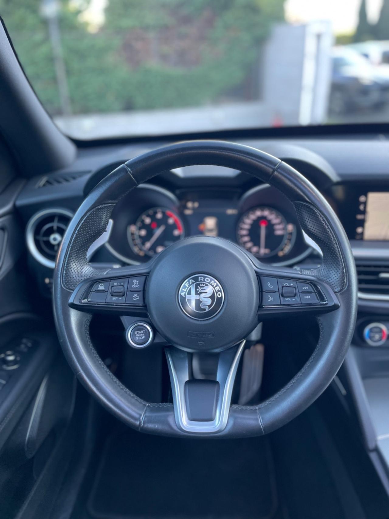 Alfa Romeo Stelvio 2.2 Turbodiesel 190 CV AT8 Q4 TETTUCCIO