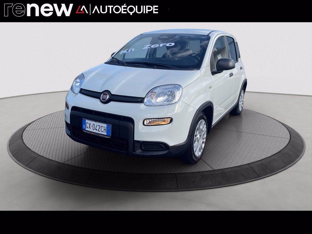 FIAT Panda 1.0 firefly hybrid s&s 70cv 5p.ti del 2024