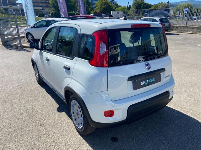 FIAT Panda *PROMO* 1.0 FireFly S&S Hybrid