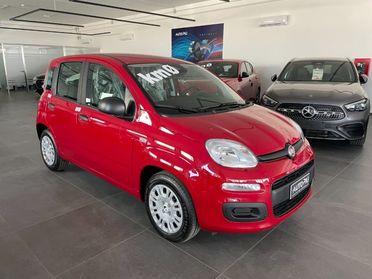 FIAT Panda 1.0 Hybrid 70 CV Icon KM0 MY 26