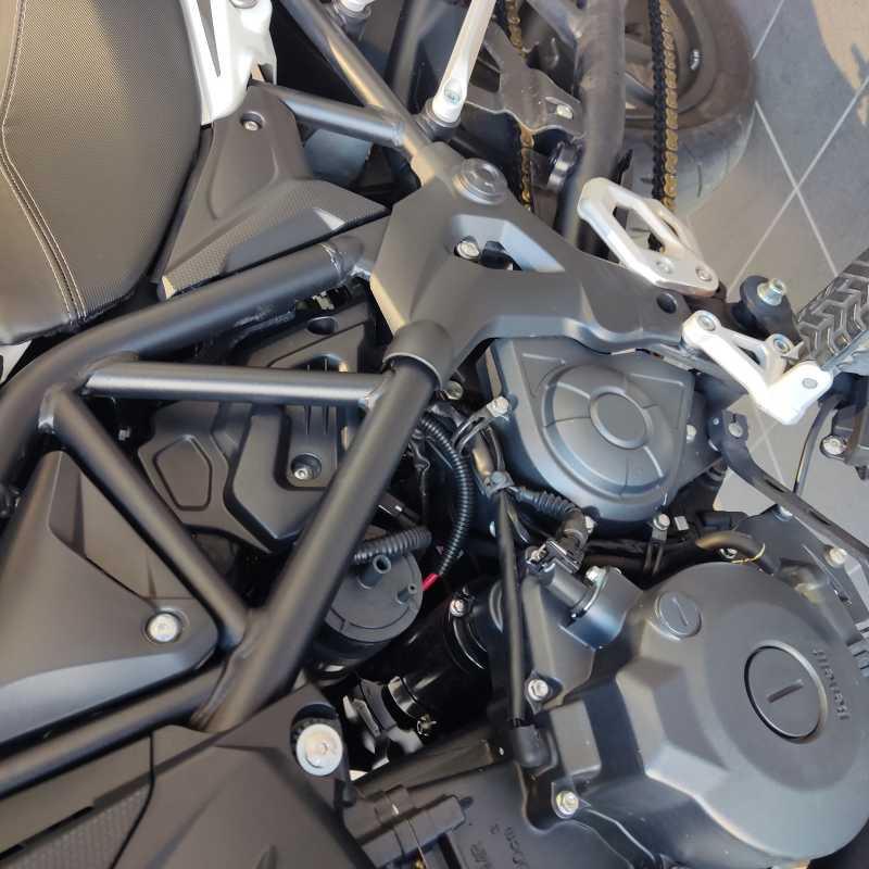 Benelli TRK 502 - 2021