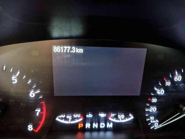 FORD Focus 1.5 EcoBoost 150 CV aut. 5p. ST-Line Co-Pilot