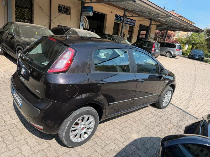 Fiat Punto Evo 5 Porte Punto Evo 5p 1.4 natural power 70cv OK NEOPATENTATO