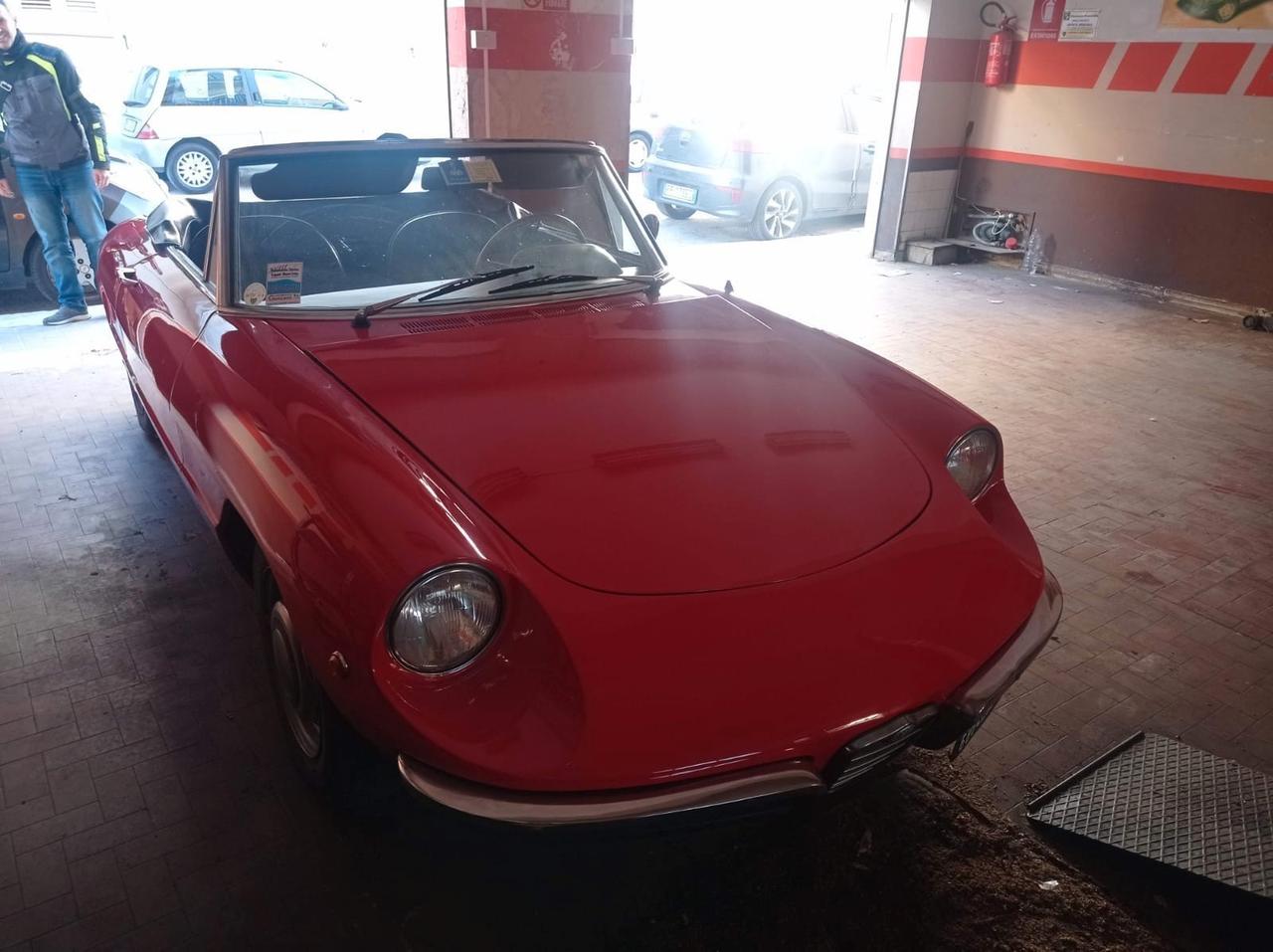 ALFA ROMEO DUETTO SPIDER ** OSSO DI SEPPIA **