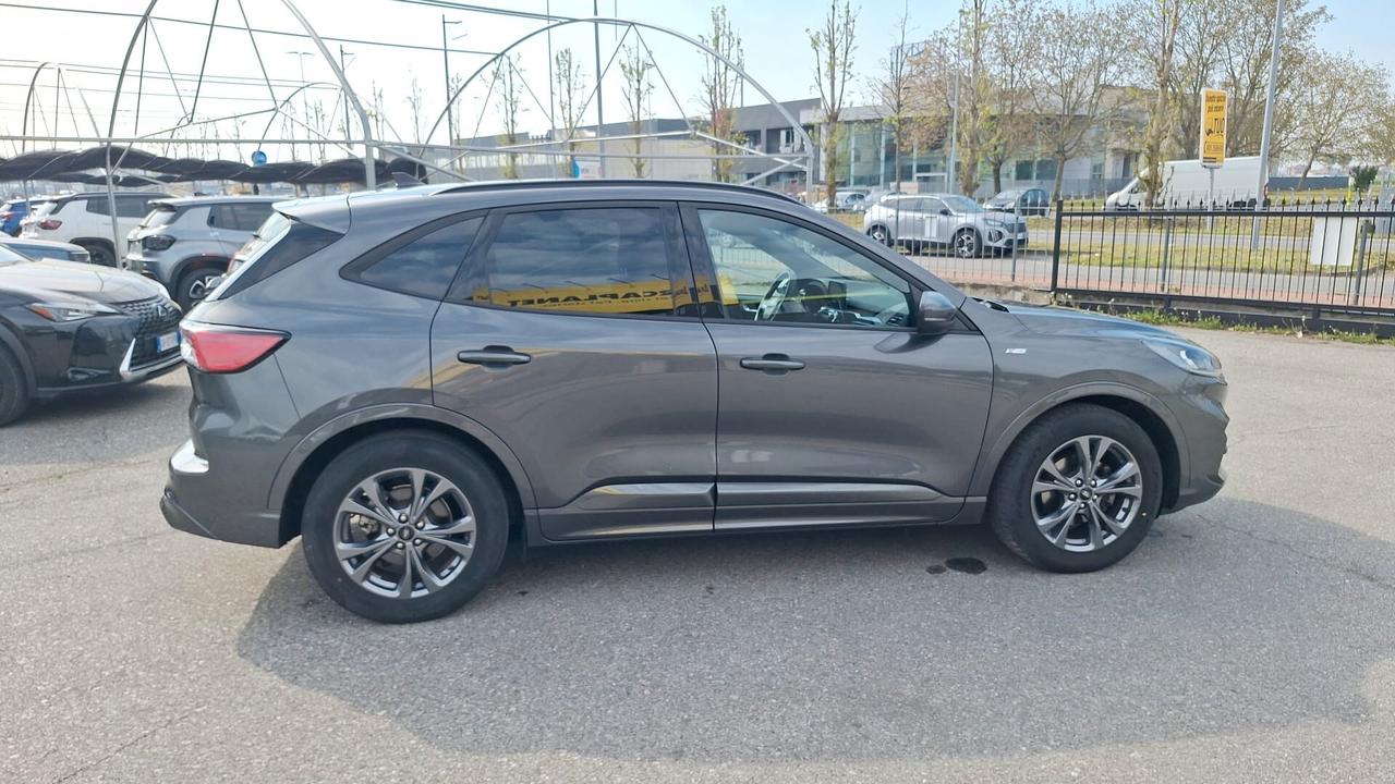 Ford Kuga 1.5 EcoBlue 120 CV 2WD ST-Line