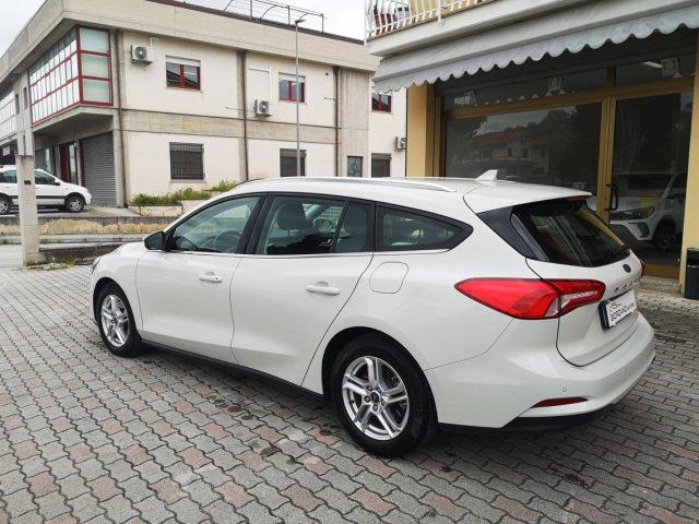 FORD Focus 1.5 EcoBlue 120 CV automatico SW Business Co-Pilot