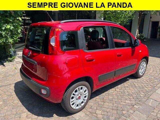 FIAT Panda 1.2 Benzina Neopatentati