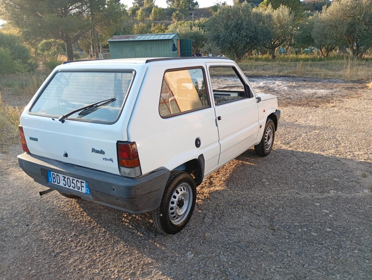 Fiat Panda 900 i.e. cat Young